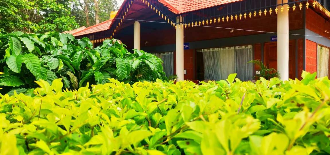 Rai Cottage @ Coorg ,Suntikoppa Exterior foto